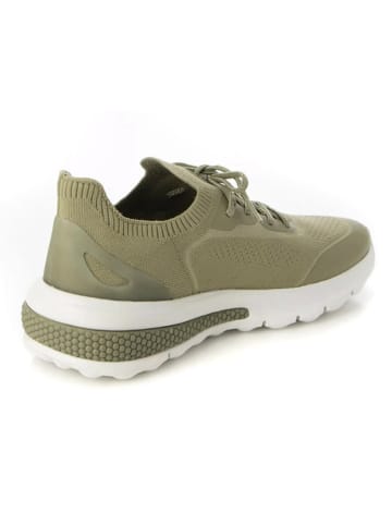 Geox Sneakers "Spherica Actif" kaki/wit
