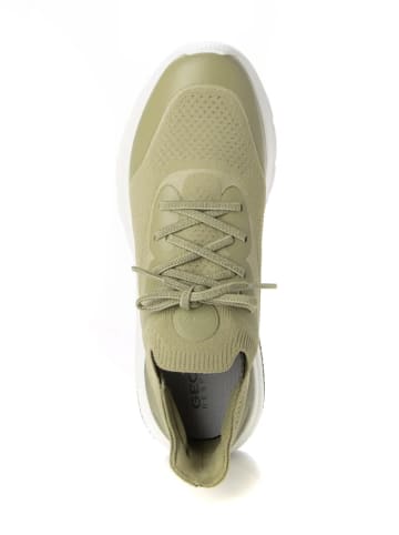 Geox Sneakers "Spherica Actif" in Khaki/ Weiß