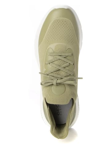 Geox Sneakers "Spherica Actif" kaki/wit