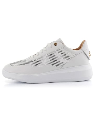 Geox Leder-Sneakers "Rubidia" in Weiß