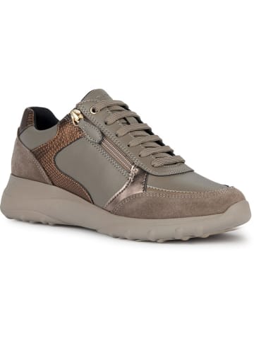 Geox Leder-Sneakers "Alleniee" in Hellbraun