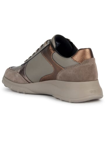 Geox Leder-Sneakers "Alleniee" in Hellbraun