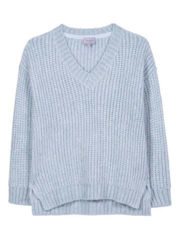 Herrlicher Pullover in Hellblau