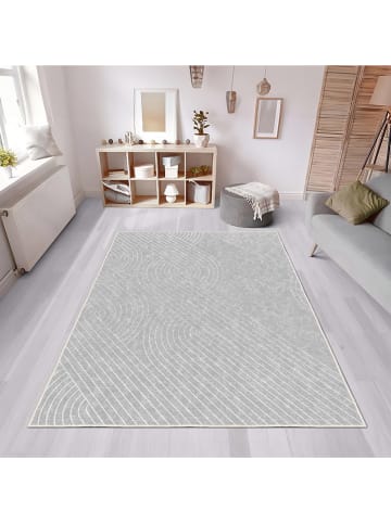 CARPET DIEM Laagpolig tapijt grijs