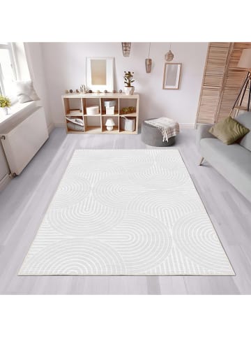 CARPET DIEM Laagpolig tapijt grijs/wit