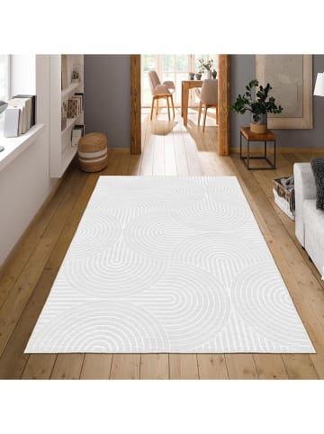 CARPET DIEM Laagpolig tapijt grijs/wit