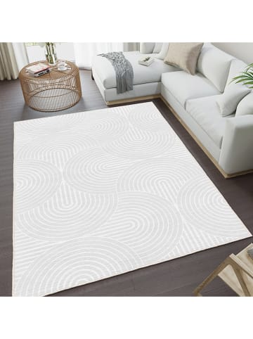 CARPET DIEM Laagpolig tapijt grijs/wit
