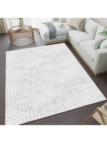 CARPET DIEM Laagpolig tapijt grijs/wit
