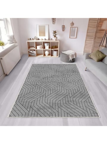 CARPET DIEM Laagpolig tapijt grijs
