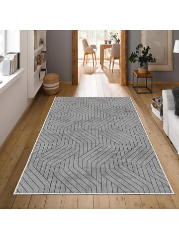 CARPET DIEM Laagpolig tapijt grijs