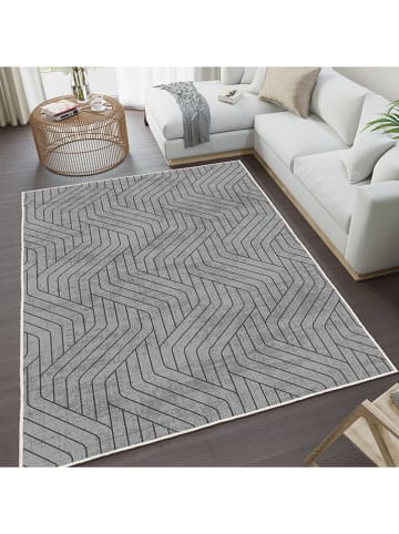 CARPET DIEM Laagpolig tapijt grijs
