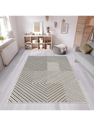 CARPET DIEM Kurzflor-Teppich in Creme/ Grau/ Braun