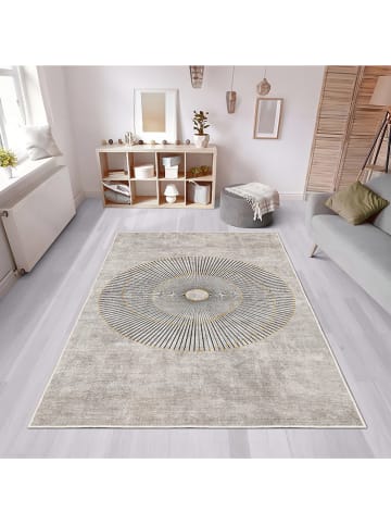 CARPET DIEM Laagpolig tapijt grijs