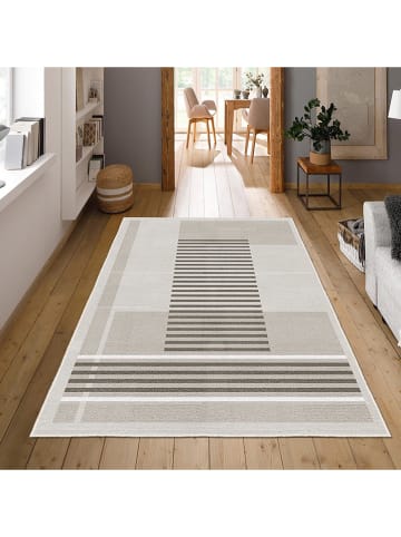 CARPET DIEM Dywan w kolorze szaro-beżowym