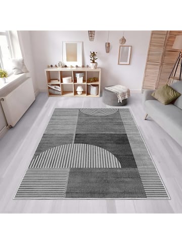 CARPET DIEM Laagpolig tapijt grijs