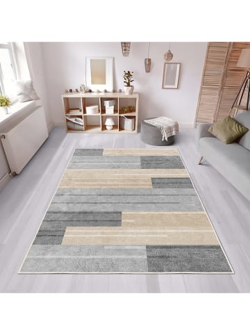 CARPET DIEM Laagpolig tapijt grijs/beige