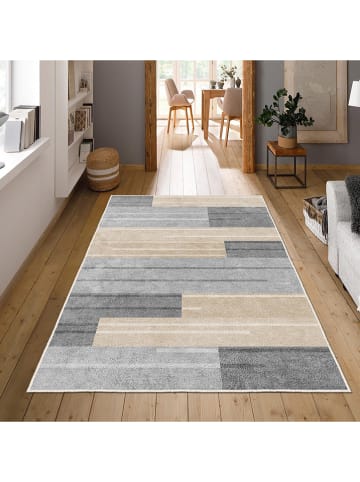 CARPET DIEM Laagpolig tapijt grijs/beige