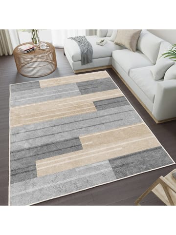 CARPET DIEM Laagpolig tapijt grijs/beige