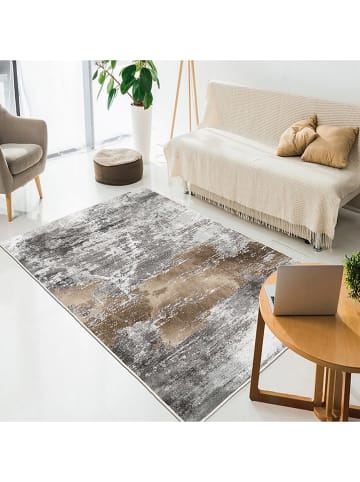 CARPET DIEM Laagpolig tapijt grijs/lichtbruin