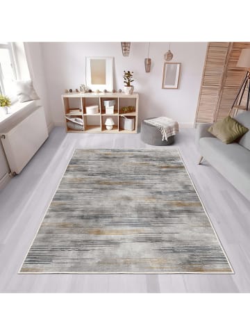 CARPET DIEM Laagpolig tapijt grijs