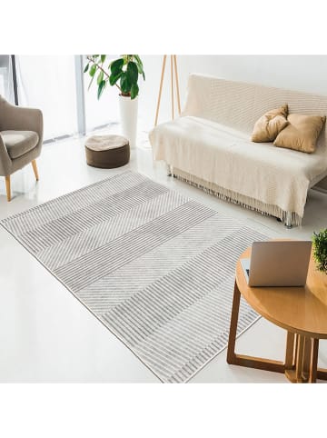 CARPET DIEM Laagpolig tapijt grijs