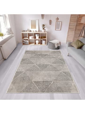 CARPET DIEM Laagpolig tapijt grijs