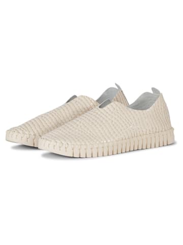 Ilse Jacobsen Slipper in Creme