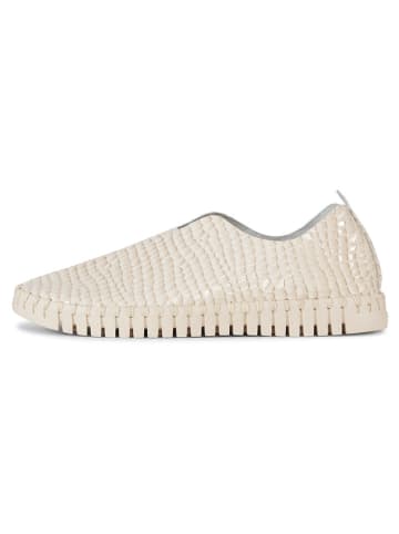 Ilse Jacobsen Slipper in Creme