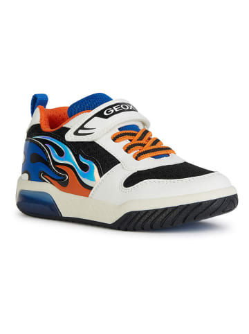 Geox Sneakers "Lights - Inek" in Weiß/ Bunt