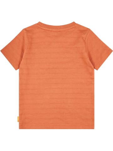 Steiff Shirt in Orange