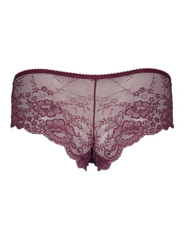 LASCANA Panty in Aubergine