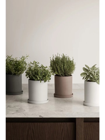 Blomus Kräutertopf "Nona" in Grau - (H)13,5 x Ø 12,5 cm