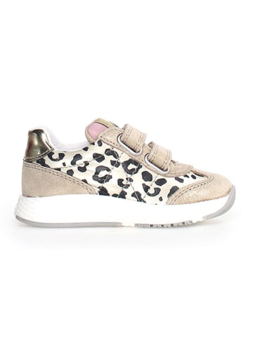 Naturino Leder-Sneakers "Jesko 2" in Beige/ Gold