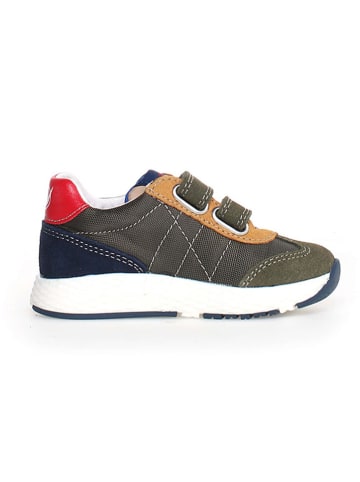 Naturino Leder-Sneakers "Jesko 2" in Khaki/ Dunkelblau