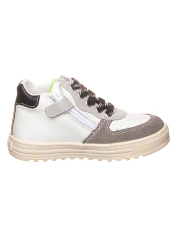 Naturino Leren sneakers "Hess" wit/grijs