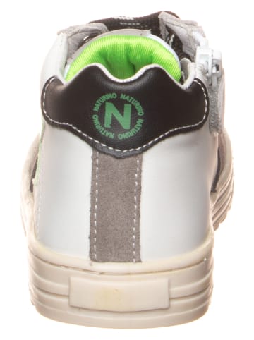 Naturino Leren sneakers "Hess" wit/grijs