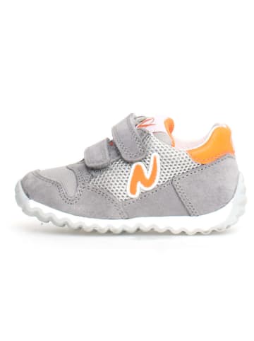 Naturino Leder-Sneakers "Sammy 2" in Orange/ Grau