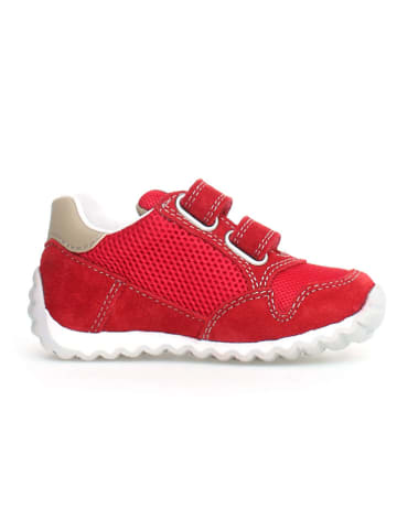 Naturino Leder-Sneakers "Sammy 2" in Rot