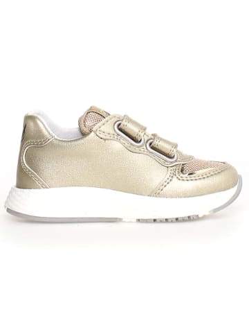 Naturino Sneakers "Reagy" goudkleurig