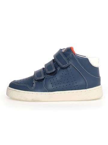 Naturino Leren sneakers "Theral" donkerblauw