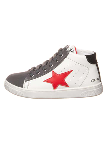 Naturino Leren sneakers "Pinn" wit/grijs