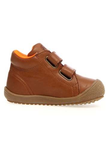 Naturino Leder-Winterboots "Raintastik 2" in Cognac