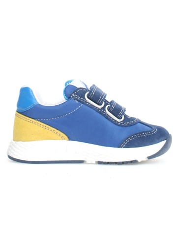 Naturino Leder-Sneakers "Jesko 2" in Gelb/ Blau