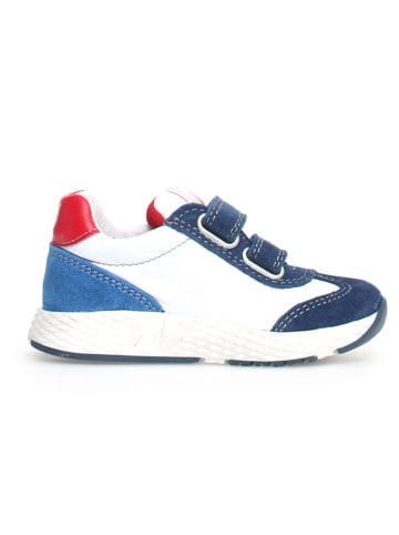Naturino Leren sneakers "Jesko 2" donkerblauw/wit