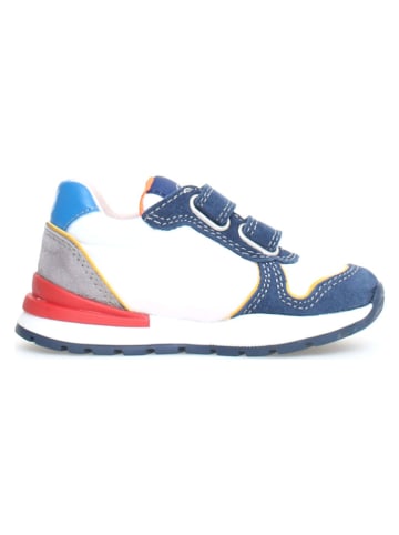 Naturino Leren sneakers "Argal 2" meerkleurig