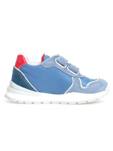 Naturino Leder-Sneakers "Argal" in Blau/ Rot