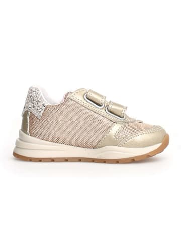 Naturino Sneakers "Quelly VL" in Gold