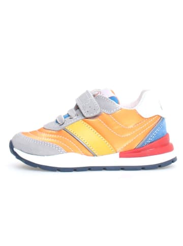 Naturino Sneakers "Ascal" oranje/meerkleurig