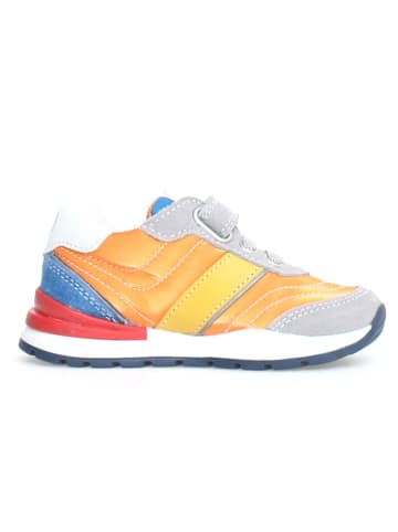 Naturino Sneakers "Ascal" oranje/meerkleurig
