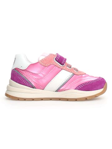 Naturino Sneakers "Ascal" in Pink/ Lila
